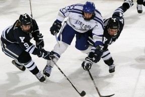 开云体育平台APP-2026世界杯焦点战，篮网强势拿下活塞，体育全球化时代的文化碰撞