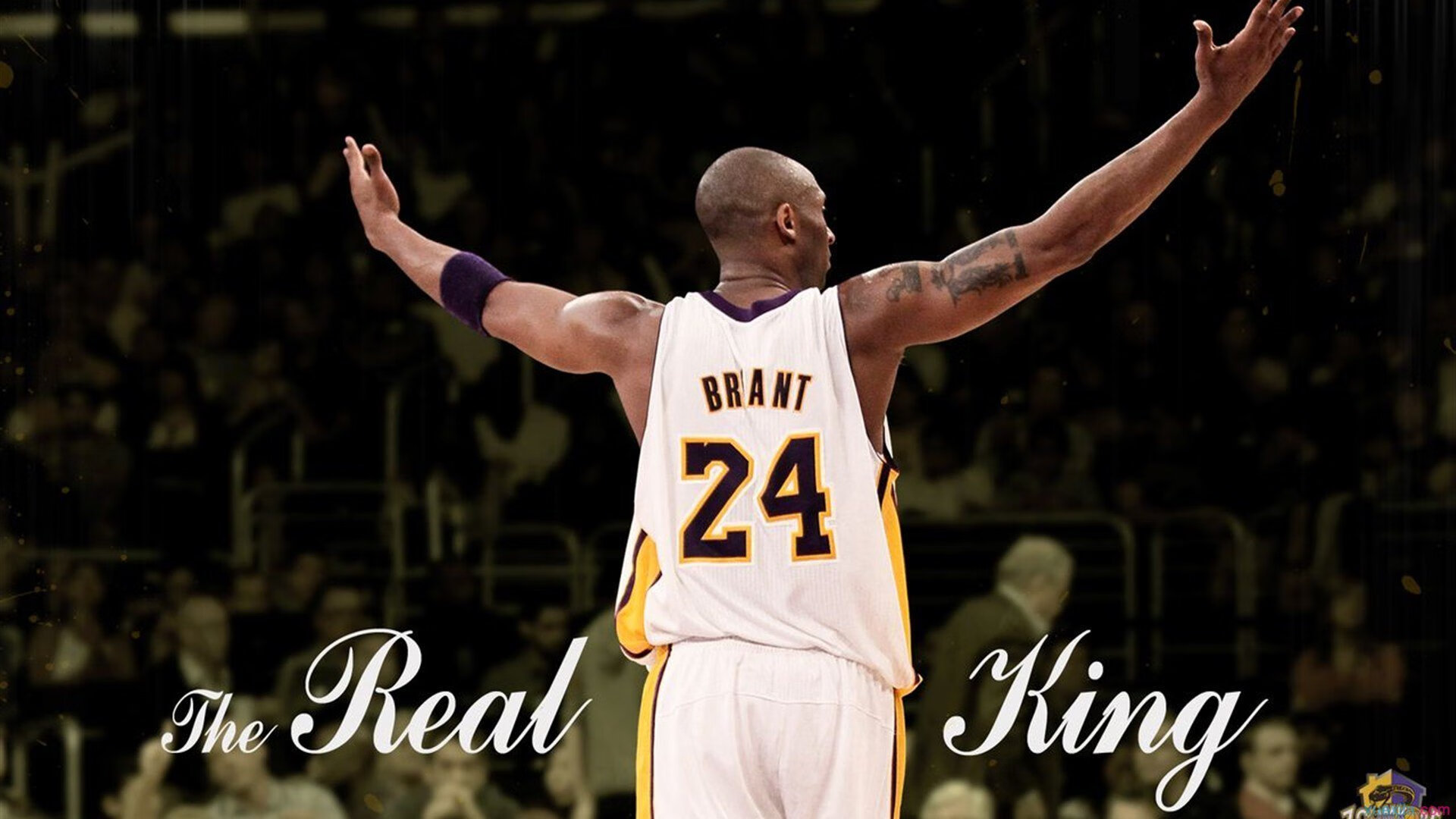 山西队战术压制独行侠，锡安成为关键先生